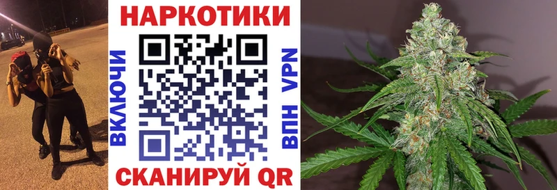 Бошки Шишки Белозерск