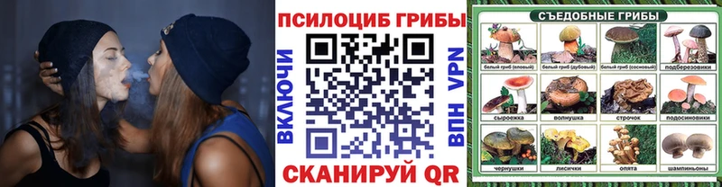 blacksprut ссылки Белозерск Галлюциногенные грибы ЛСД купить закладку